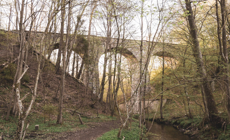 Potężny i zapomniany most kolejowy w podlęborskim lesie
