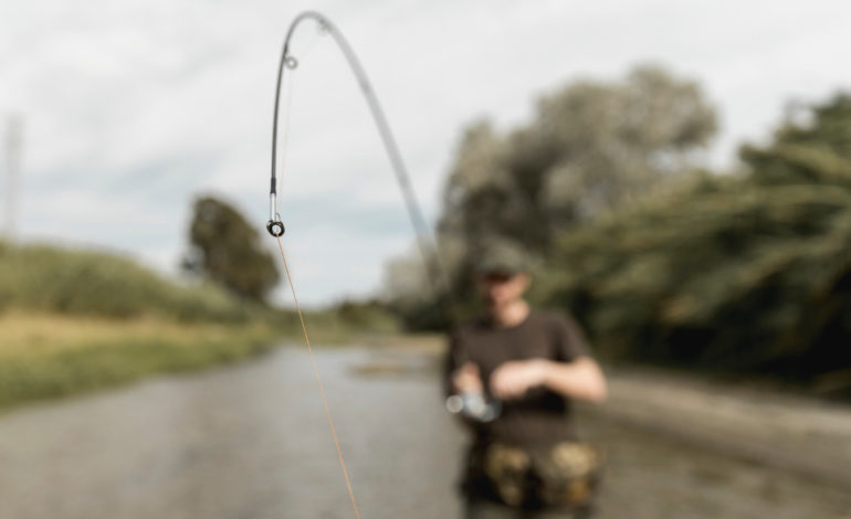 SPN czasowo blokuje amatorski połów ryb na rzece Łebie