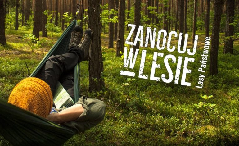 Program „Zanocuj w lesie” także w Nadleśnictwie Lębork! Zobacz gdzie można biwakować