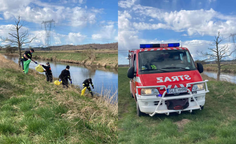 Strażacy z Pogorszewa wysprzątali brzegi rzeki Łeby