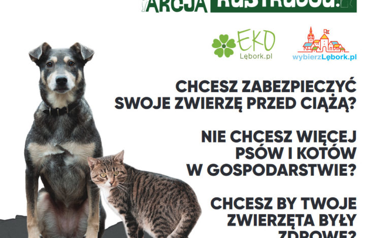 Lębork: ZWIERZowa Akcja Kastracja psów i kotów