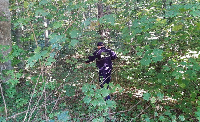 Znaleziono ciało 70-latka. Wybrał się na grzyby w gminie Nowa Wieś Lęborska