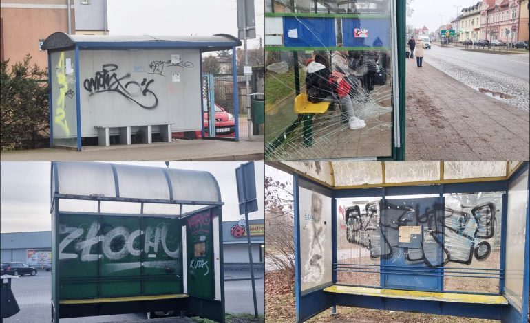 Zdewastowane przystanki autobusowe w Lęborku.