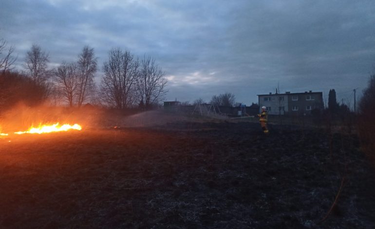 Czwarty pożar traw w Bąsewicach… 
