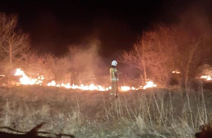 Straż pożarna i policja apelują o zaprzestanie wypalania traw [Zdjęcia]