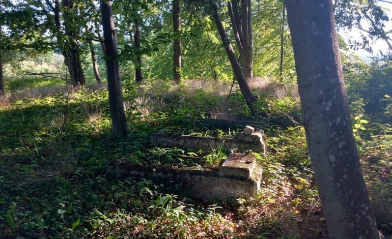  Leśne nekropolie w okolicach Lęborka [Zdjęcia]