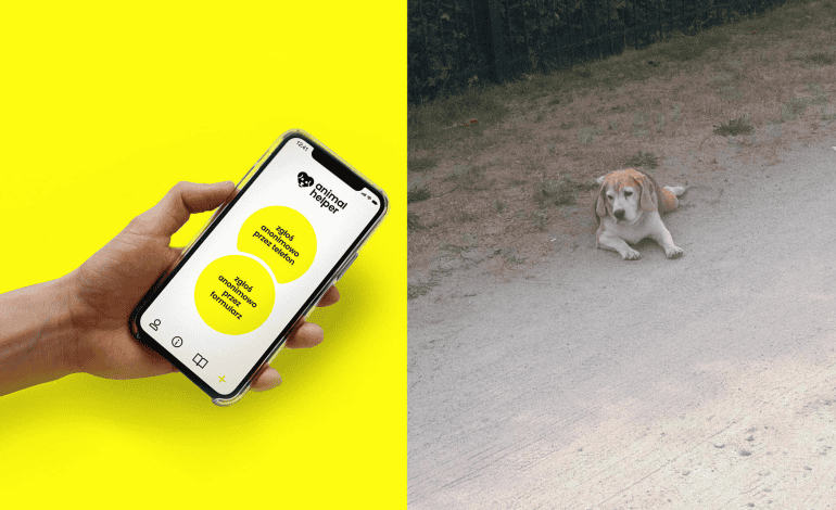 Ta aplikacja pomoże uratować zwierzęta
