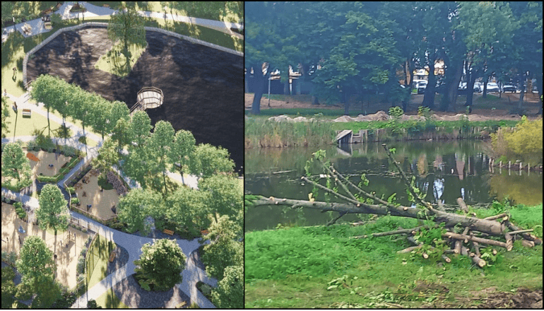  Park nie zostanie pozbawiony zieleni. Burmistrz zapewnia, że to tylko prace pielęgnacyjne