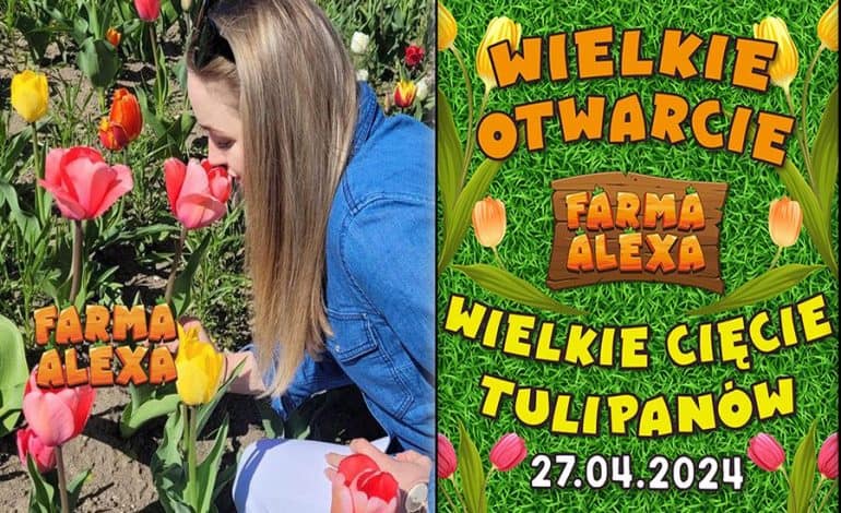  Farma Alexa w Charbowie. Już niebawem otwarcie i Wielkie Cięcie Tulipanów!
